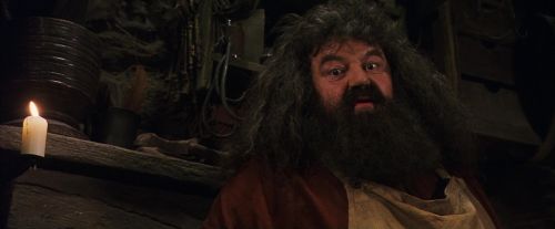 Click to view full size image
==============
PF-Potterish_08507.jpg PF-Potterish_08507.jpg