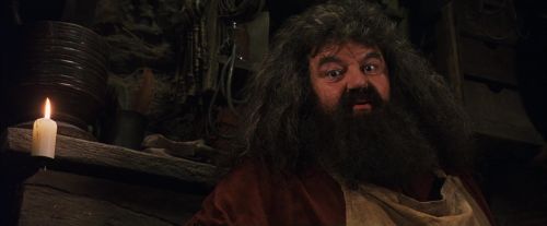 PF-Potterish_08508.jpg