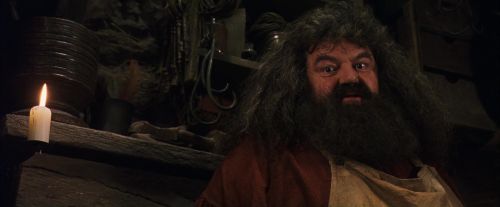 Click to view full size image
==============
PF-Potterish_08510.jpg PF-Potterish_08510.jpg