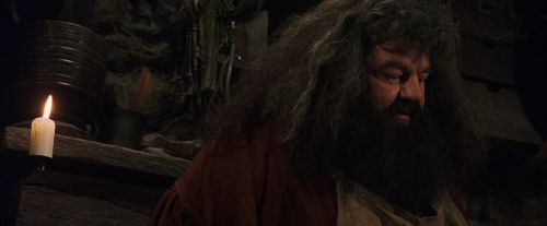 Click to view full size image
==============
PF-Potterish_08512.jpg PF-Potterish_08512.jpg