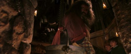 PF-Potterish_08517.jpg