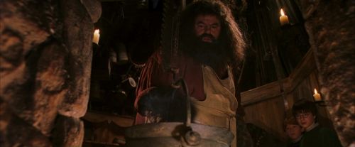 PF-Potterish_08518.jpg