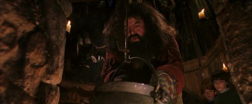 Click to view full size image
==============
PF-Potterish_08521.jpg PF-Potterish_08521.jpg