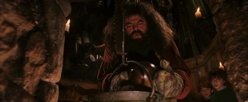 PF-Potterish_08522.jpg