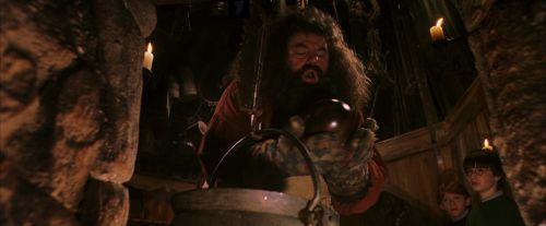 PF-Potterish_08523.jpg