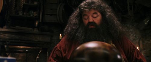 PF-Potterish_08540.jpg