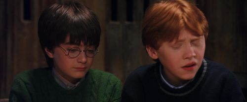 PF-Potterish_08547.jpg