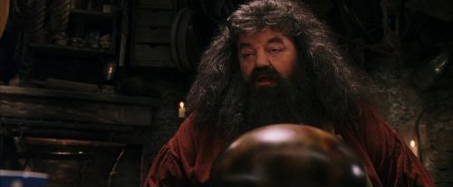 PF-Potterish_08550.jpg