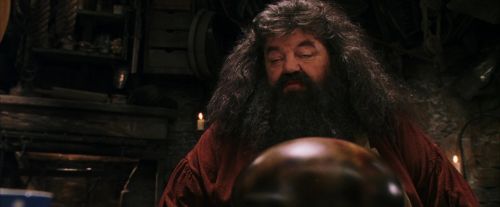 PF-Potterish_08551.jpg