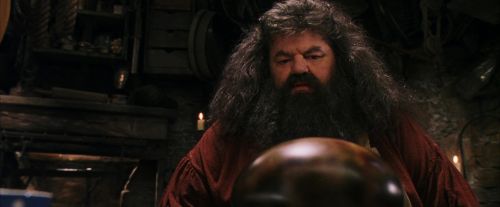Click to view full size image
==============
PF-Potterish_08556.jpg PF-Potterish_08556.jpg
