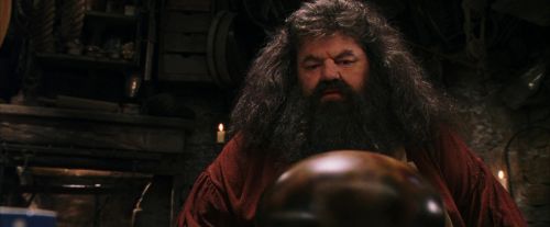 PF-Potterish_08557.jpg