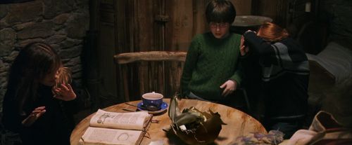 PF-Potterish_08569.jpg