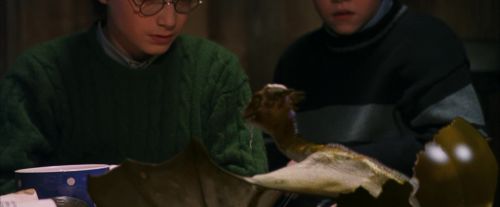 PF-Potterish_08575.jpg