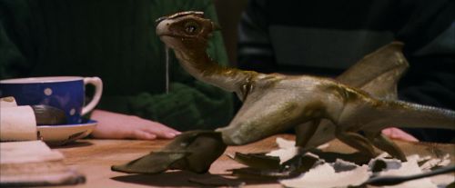 PF-Potterish_08580.jpg