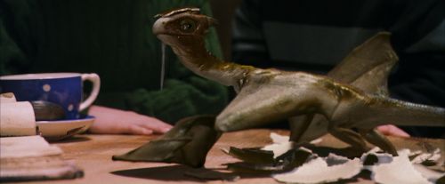 Click to view full size image
==============
PF-Potterish_08581.jpg PF-Potterish_08581.jpg