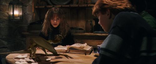 PF-Potterish_08582.jpg