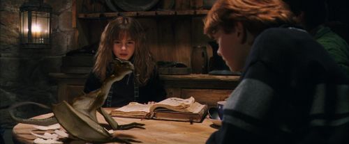 PF-Potterish_08583.jpg