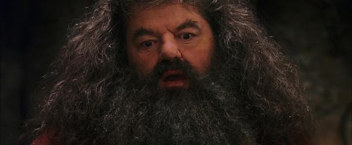 Click to view full size image
==============
PF-Potterish_08588.jpg PF-Potterish_08588.jpg