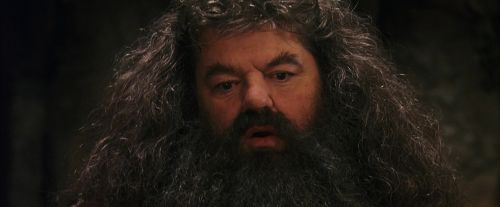 PF-Potterish_08590.jpg