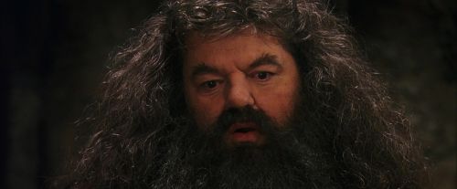PF-Potterish_08591.jpg