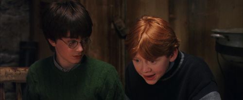 PF-Potterish_08603.jpg