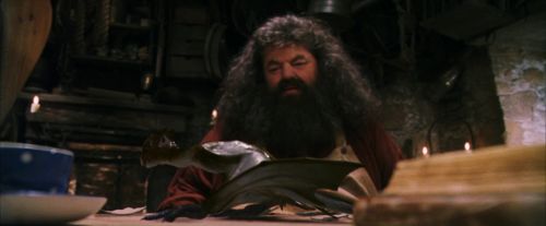 PF-Potterish_08605.jpg
