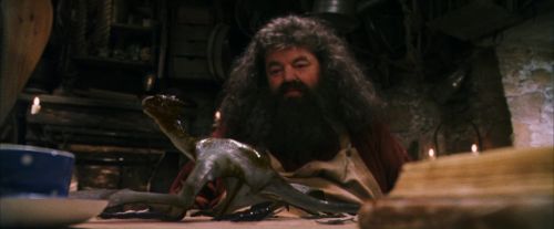 PF-Potterish_08606.jpg