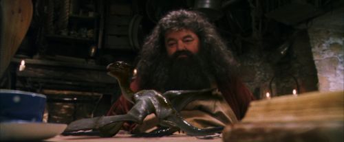 Click to view full size image
==============
PF-Potterish_08607.jpg PF-Potterish_08607.jpg