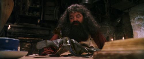 PF-Potterish_08608.jpg