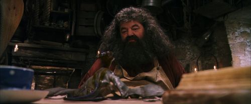 Click to view full size image
==============
PF-Potterish_08610.jpg PF-Potterish_08610.jpg