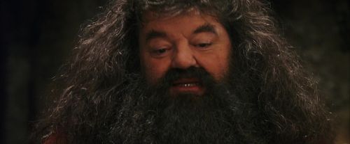 PF-Potterish_08612.jpg