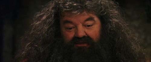 PF-Potterish_08613.jpg