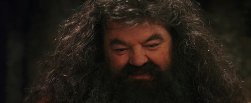 PF-Potterish_08615.jpg