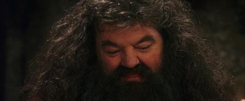 Click to view full size image
==============
PF-Potterish_08616.jpg PF-Potterish_08616.jpg