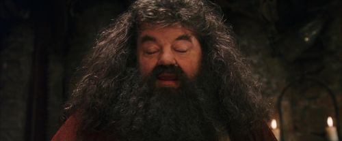 PF-Potterish_08623.jpg