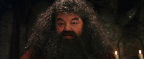 Click to view full size image
==============
PF-Potterish_08624.jpg PF-Potterish_08624.jpg
