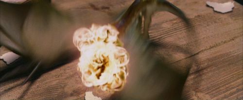 Click to view full size image
==============
PF-Potterish_08633.jpg PF-Potterish_08633.jpg