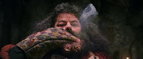 Click to view full size image
==============
PF-Potterish_08636.jpg PF-Potterish_08636.jpg