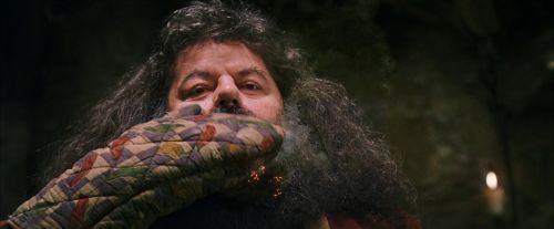 PF-Potterish_08649.jpg