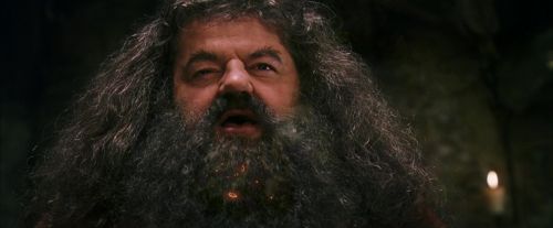 Click to view full size image
==============
PF-Potterish_08651.jpg PF-Potterish_08651.jpg