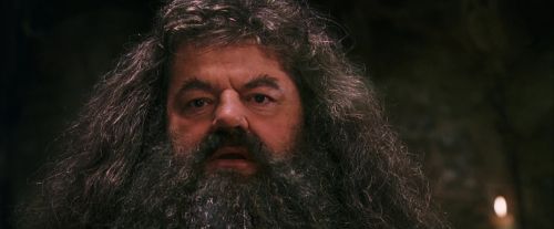 PF-Potterish_08661.jpg