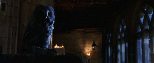 Click to view full size image
==============
PF-Potterish_08662.jpg PF-Potterish_08662.jpg