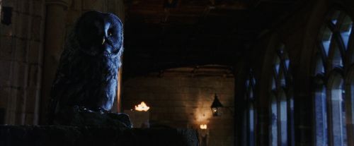 PF-Potterish_08663.jpg