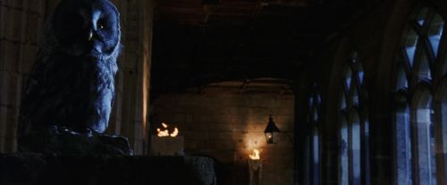 PF-Potterish_08665.jpg