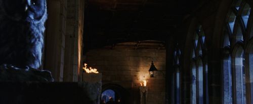 PF-Potterish_08666.jpg