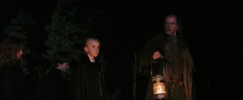 PF-Potterish_08799.jpg