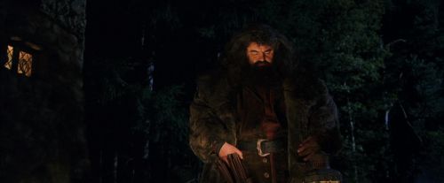 Click to view full size image
==============
PF-Potterish_08802.jpg PF-Potterish_08802.jpg