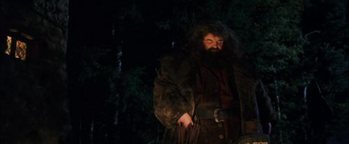 PF-Potterish_08803.jpg