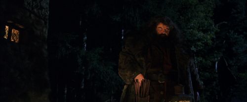 PF-Potterish_08804.jpg