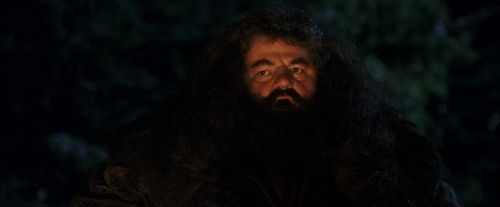 Click to view full size image
==============
PF-Potterish_08817.jpg PF-Potterish_08817.jpg